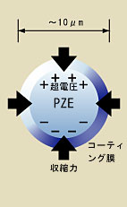 ׈dfqZT[